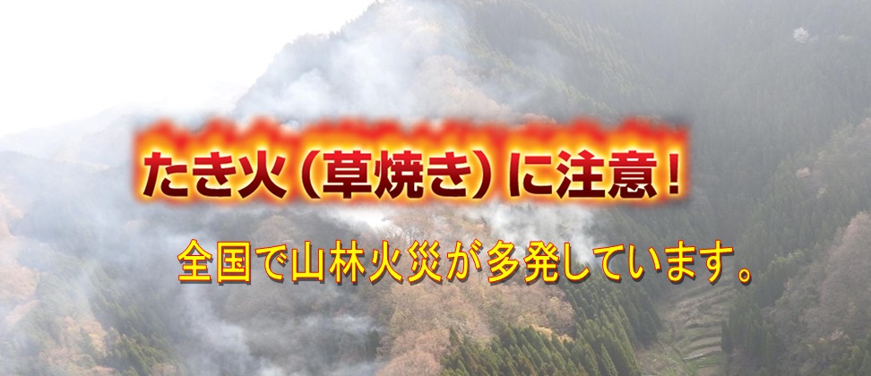 林野火災